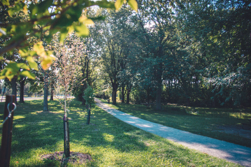 BAU-QUÉBEC LTÉE - Entrepreneur paysagiste - Parc Angrignon